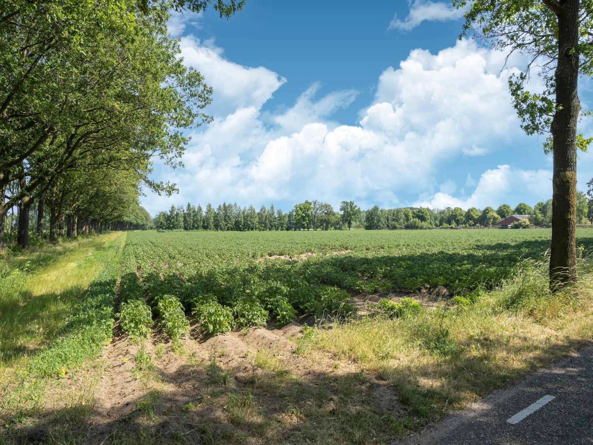 House With A Large Garden In Achterhoek Eibergen Екстериор снимка